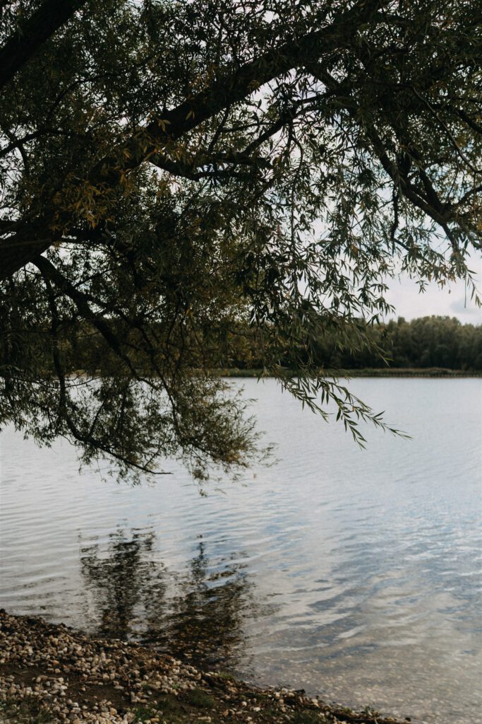 lichaamsgerichte en psychodynamische therapie vivendi