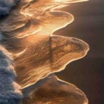 De kunst van ontvangen