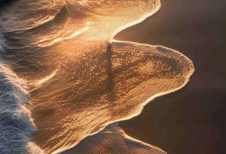 de kunst van ontvangen - vivendi coaching traject utrecht amsterdam